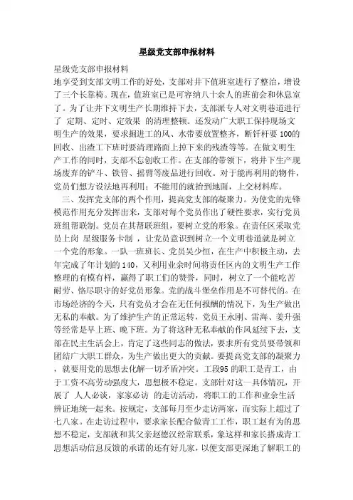 星级党支部申报材料（范本）
