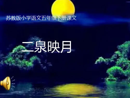 苏教版第十册语文《二泉映月》ppt课件