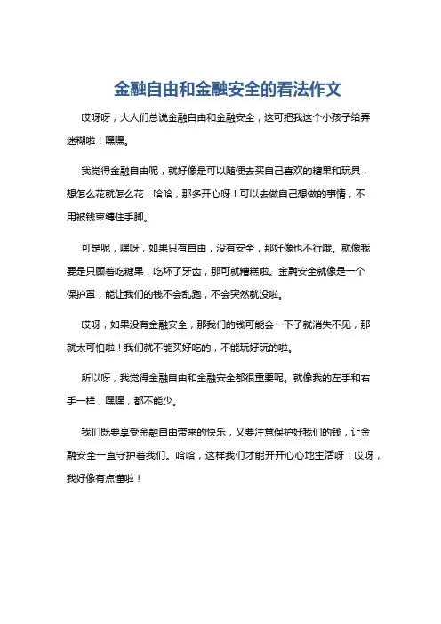 金融自由和金融安全的看法作文