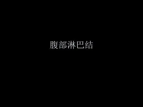 腹部淋巴结影像学解剖