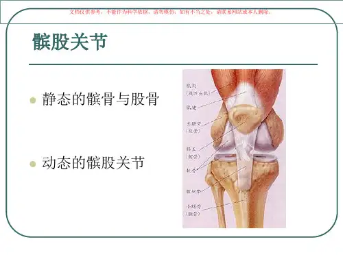 髌股关节生物力学讲解课件