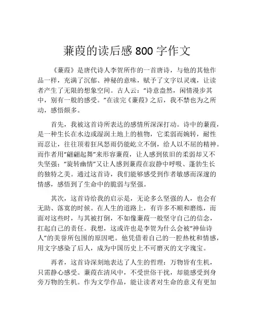 蒹葭的读后感800字作文