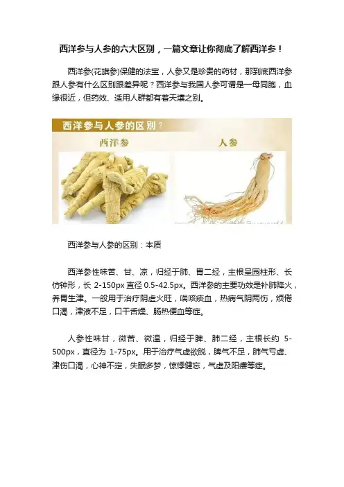 西洋参与人参的六大区别，一篇文章让你彻底了解西洋参！