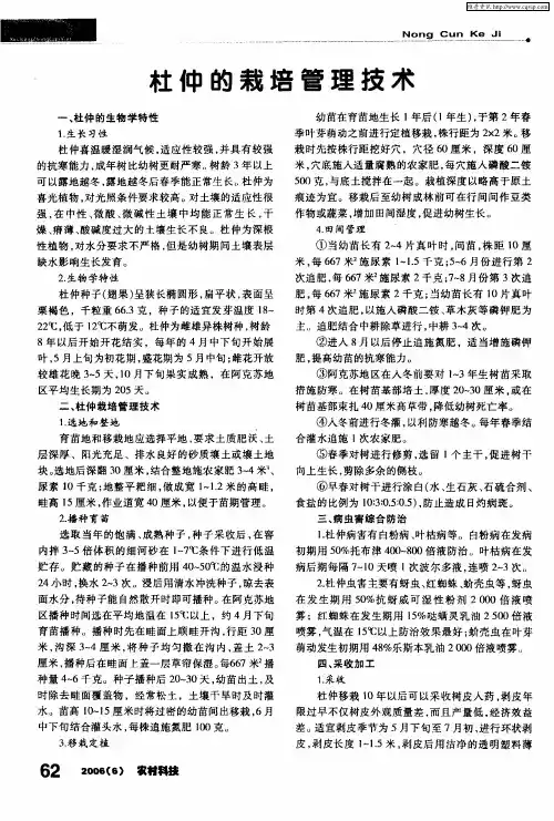 杜仲的栽培管理技术