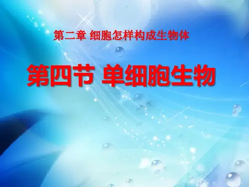 《单细胞生物》细胞怎样构成生物体-人教版七年级生物上册PPT课件