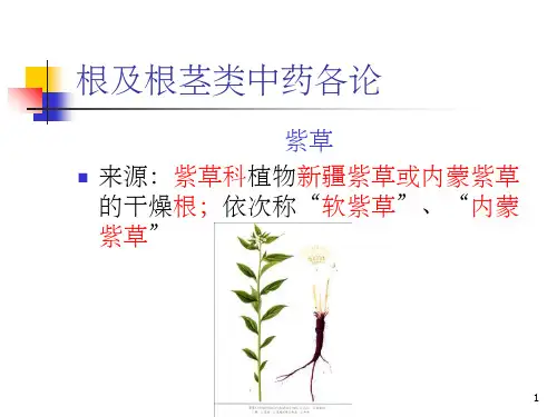 根及根茎类中药各论