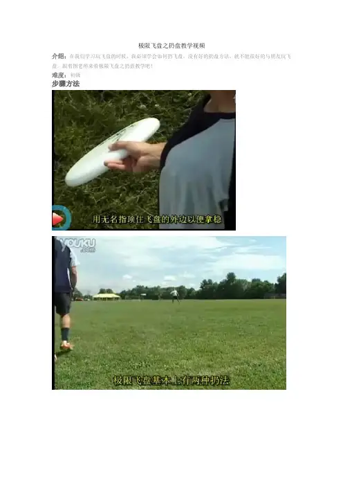 极限飞盘之扔盘教学视频