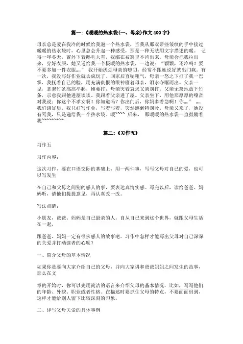 一个热水袋,习作