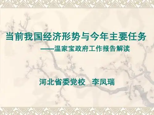 当前我国经济形势与今年主要任务——李凤瑞