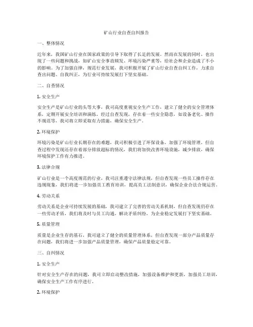矿山行业自查自纠报告