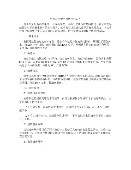 生命科学中的遗传学知识点