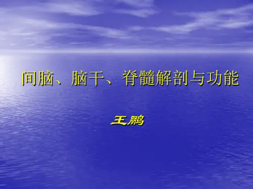 神经系统定位诊断PPT课件