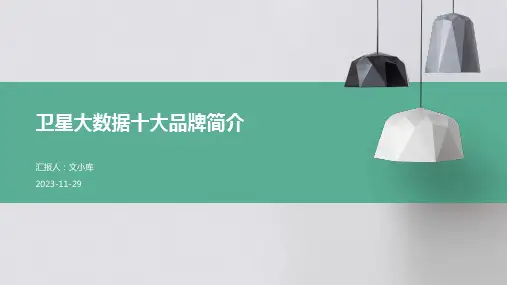 卫星大数据十大品牌简介