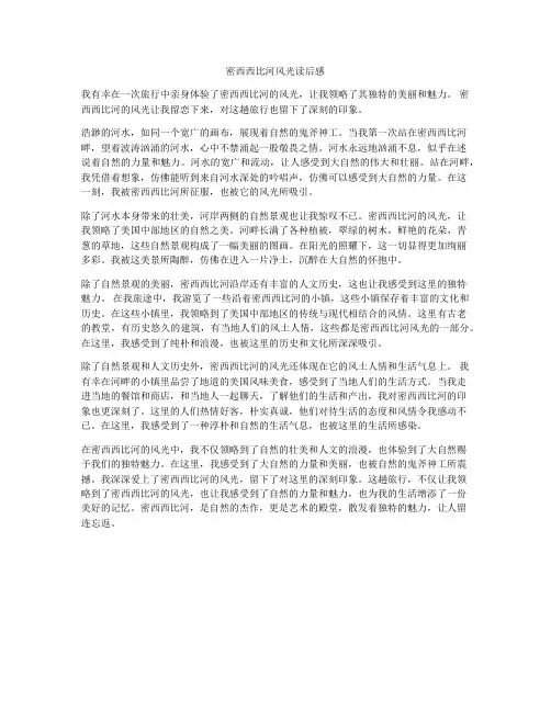 密西西比河风光读后感