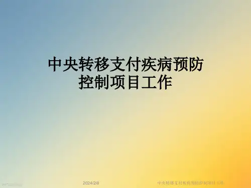 中央转移支付疾病预防控制项目工作