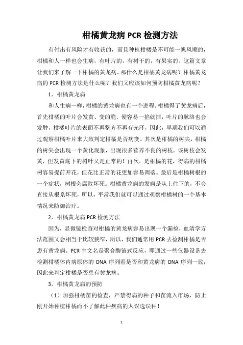 柑橘黄龙病PCR检测方法