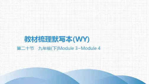 最新外研版英语中考总复习教材知识点梳理第二十节 九年级(下)Module 3~Module 4