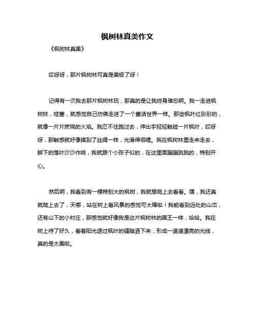 枫树林真美作文