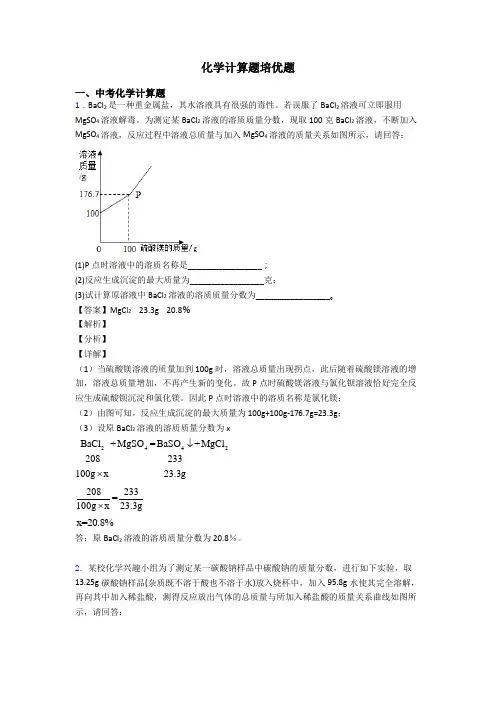 化学计算题培优题