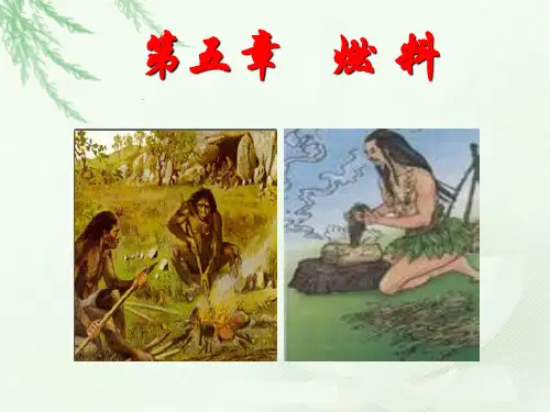 粤教版九上化学  洁净的燃料——氢气 课件(1)