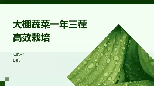 大棚蔬菜一年三茬高效栽培