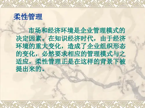柔性管理_精品文档