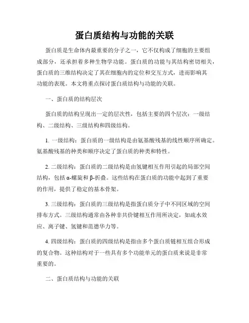 蛋白质结构与功能的关联