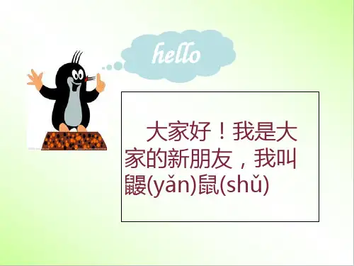 数图形的学问课件ppt