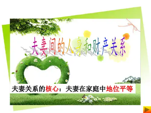5.3 夫妻间的人身和财产关系 复习课件 PPT