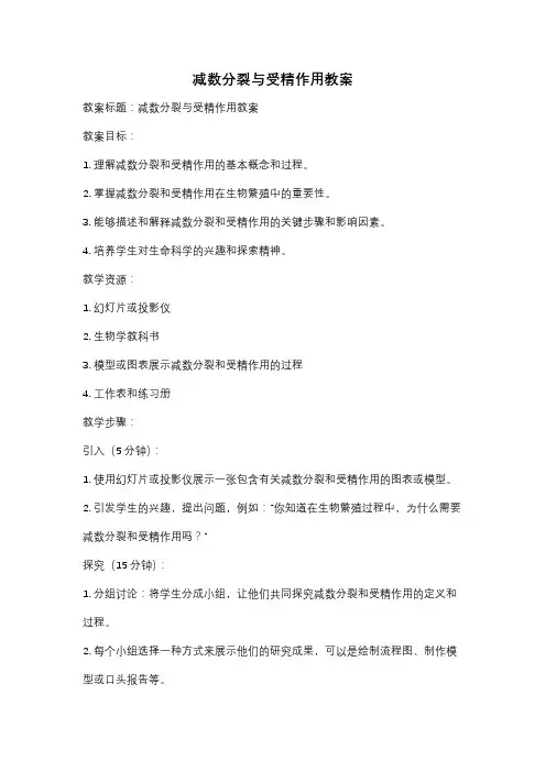 减数分裂与受精作用教案
