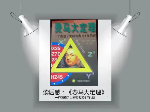 费马大定理一个困惑了世间智者的谜