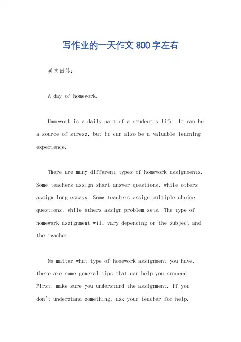 写作业的一天作文800字左右