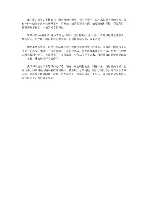 (青少年心灵成长直通车)启迪孩子智慧的动物故事_会爬树的鱼