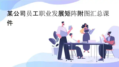 某公司员工职业发展矩阵附图汇总课件