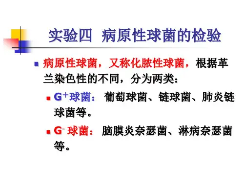 实验四病原性球菌的检验