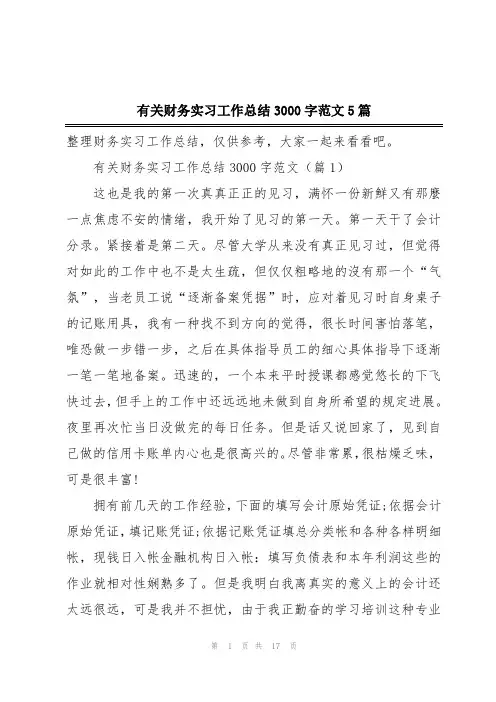有关财务实习工作总结3000字范文5篇