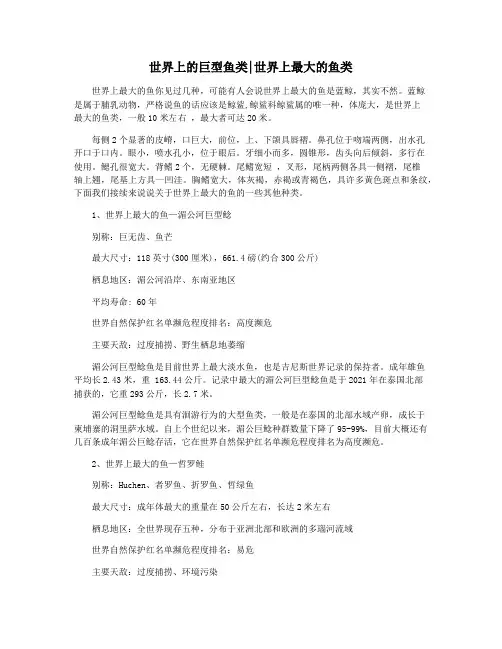 世界上的巨型鱼类世界上最大的鱼类