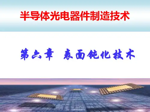 第六章 表面钝化技术