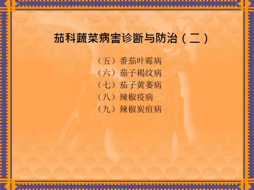 蔬菜病虫害识别诊断与防治—茄科蔬菜病虫害识别诊断与防治(园艺植物病虫害防治)