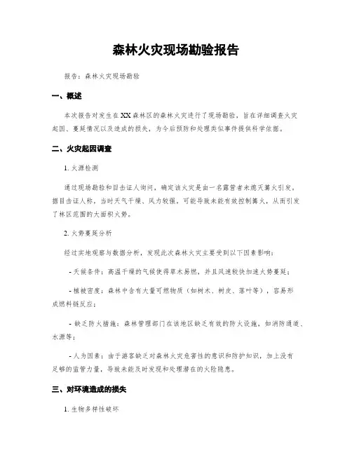 森林火灾现场勘验报告