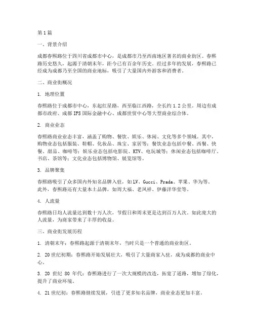 商业街的案例(2篇)