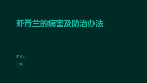 虾脊兰的病害及防治办法