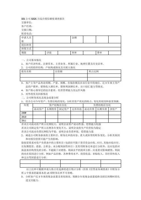 授信报告模板