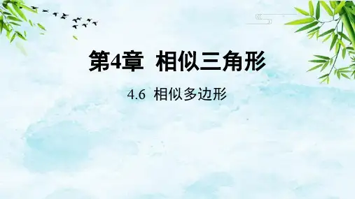 4.6 相似多边形九年级上册数学浙教版