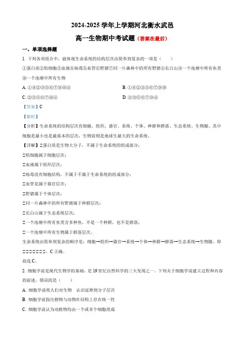 河北省衡水市武邑县2024-2025学年高一上学期期中考试生物试题含答案