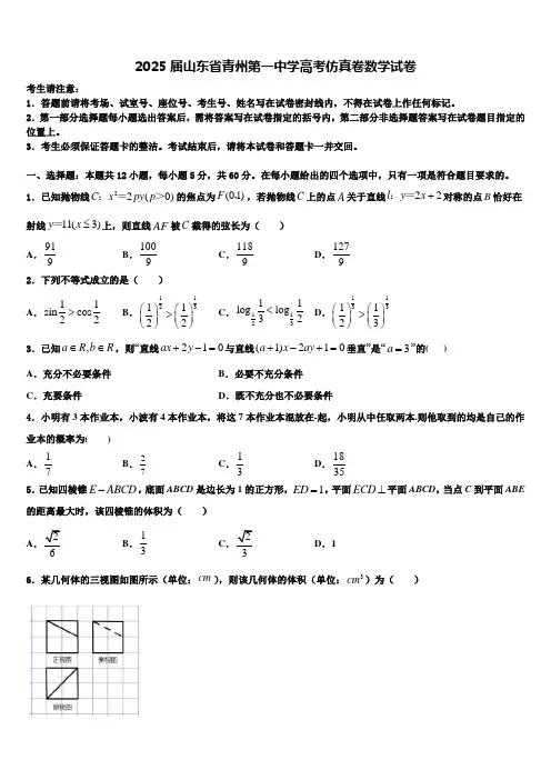 2025届山东省青州第一中学高考仿真卷数学试卷含解析