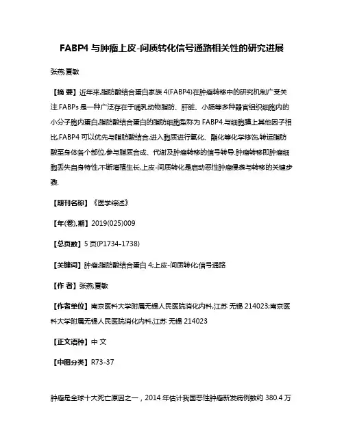 FABP4与肿瘤上皮-间质转化信号通路相关性的研究进展