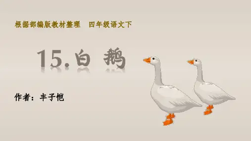 部编版四年级语文下册第15课《白鹅》优秀PPT课件