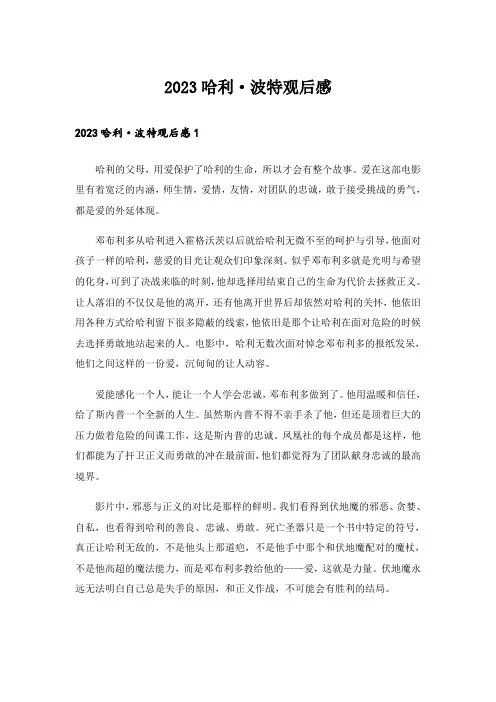 2023哈利·波特观后感_1
