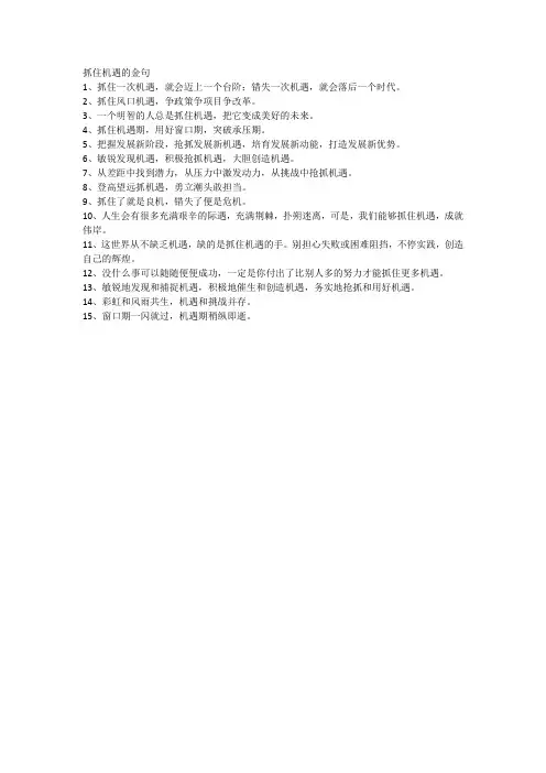 抓住机遇的金句